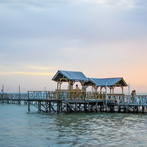 Alam Flora Pantai Sepat